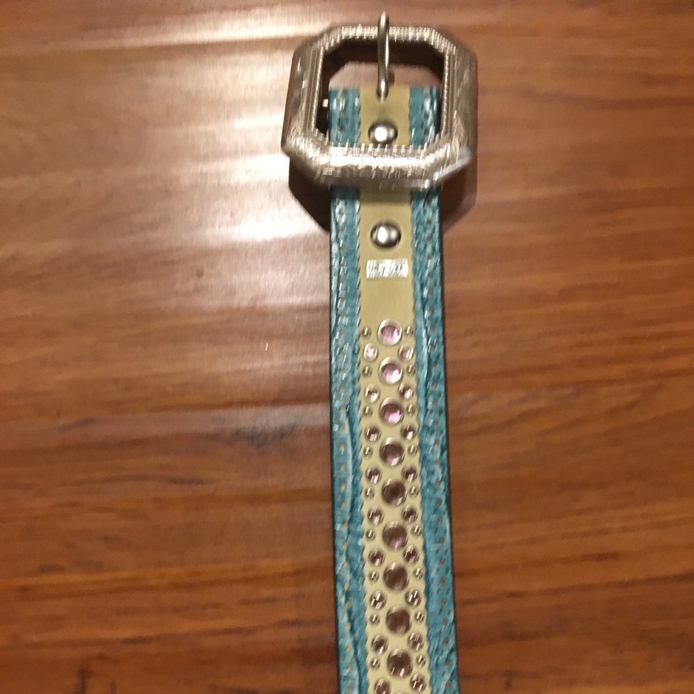 Ariat Belt Never worn!!